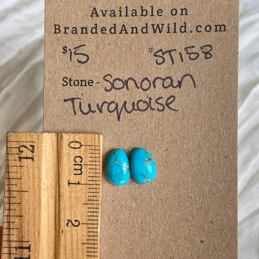Sonoran Turquoise Cabochon - ST158 D1E75560-26F0-430A-AA11-F42A5FFFC3C1 Brandedandwild.com