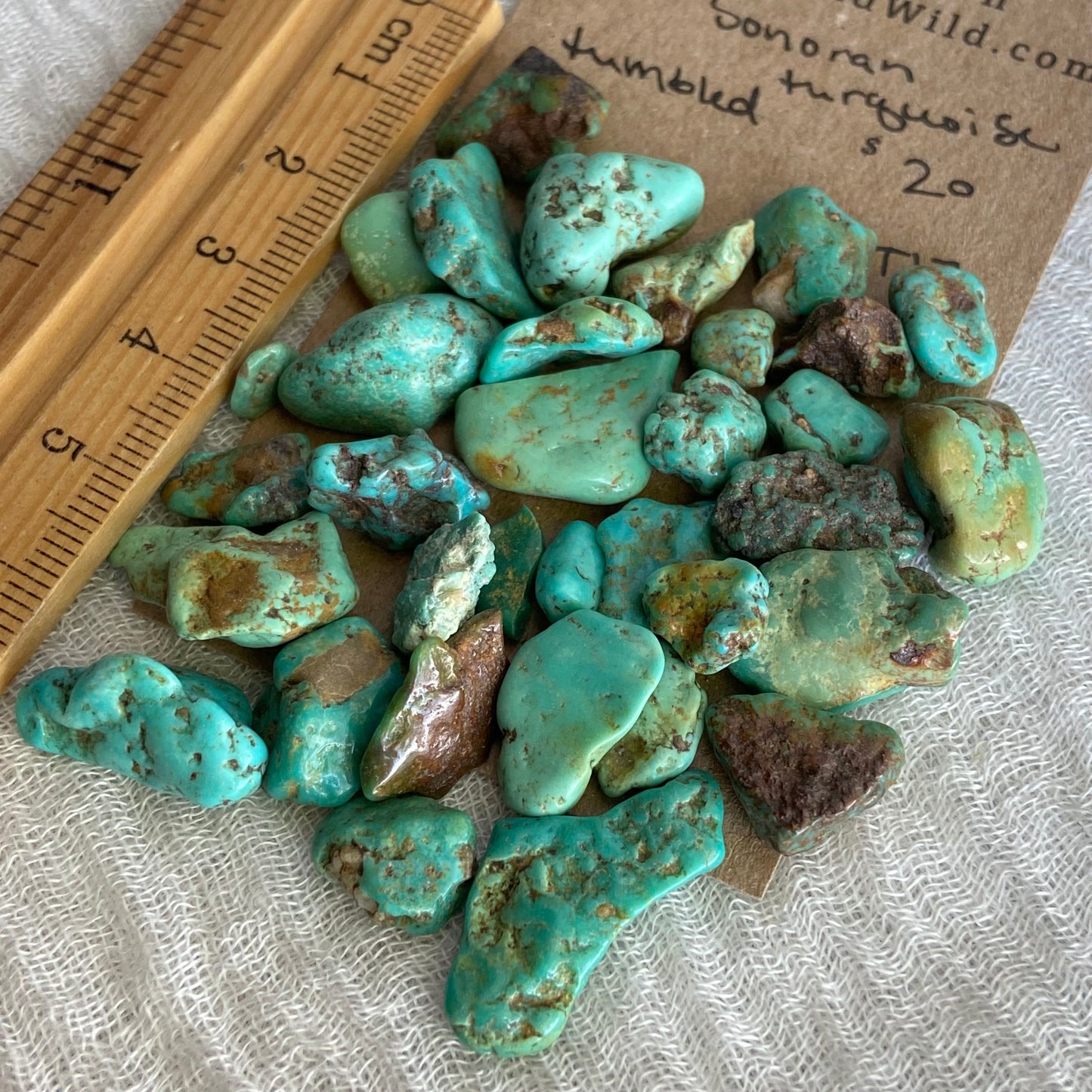 Rough Tumbled Sonoran Gold Turquoise - #ST17