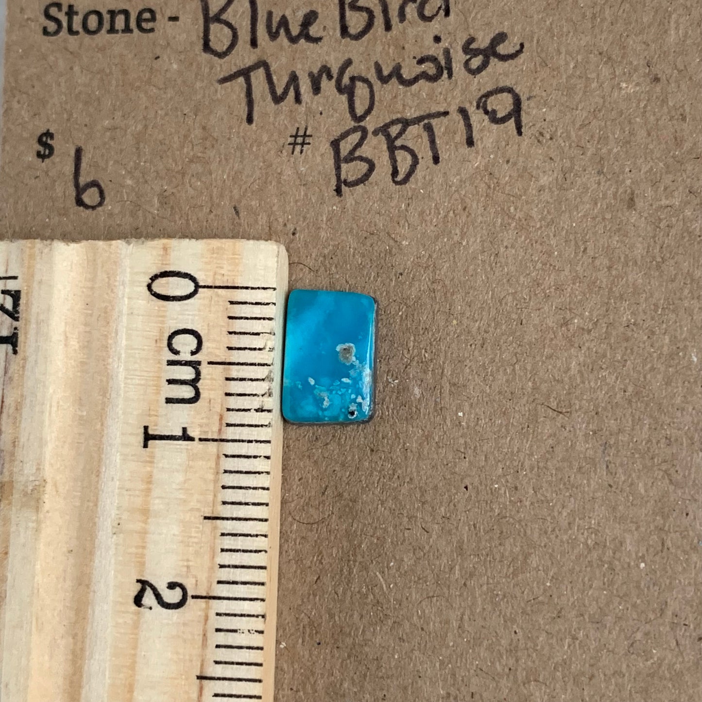 Blue Bird Turquoise Cabochon - BBT19