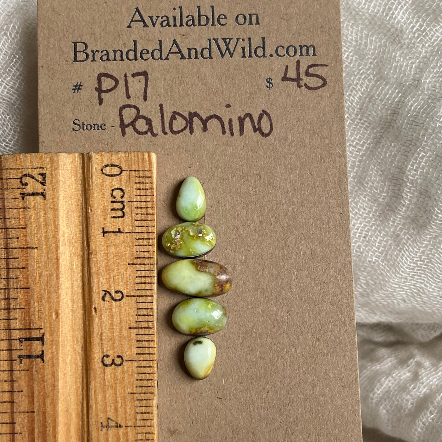 Palomino Cabochon - P17 D20B4E5D-26D2-4B25-82DA-2B2133BE1591 Brandedandwild.com