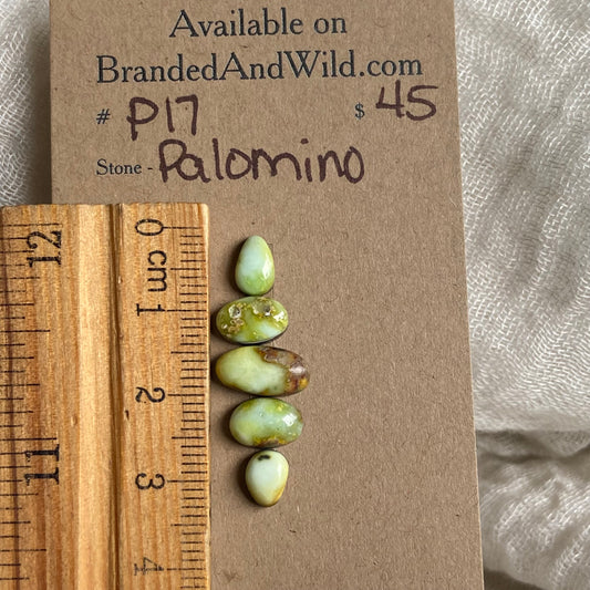 Palomino Cabochon - P17 D20B4E5D-26D2-4B25-82DA-2B2133BE1591 Brandedandwild.com