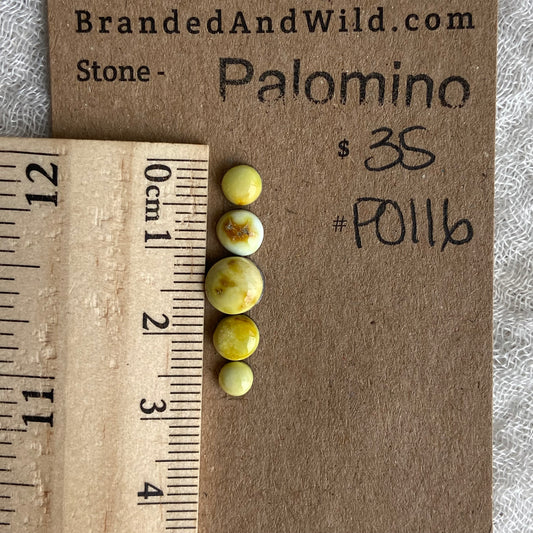 Palomino Cabochon - P0116