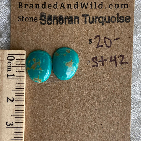Sonoran Turquoise Cabochon - ST42