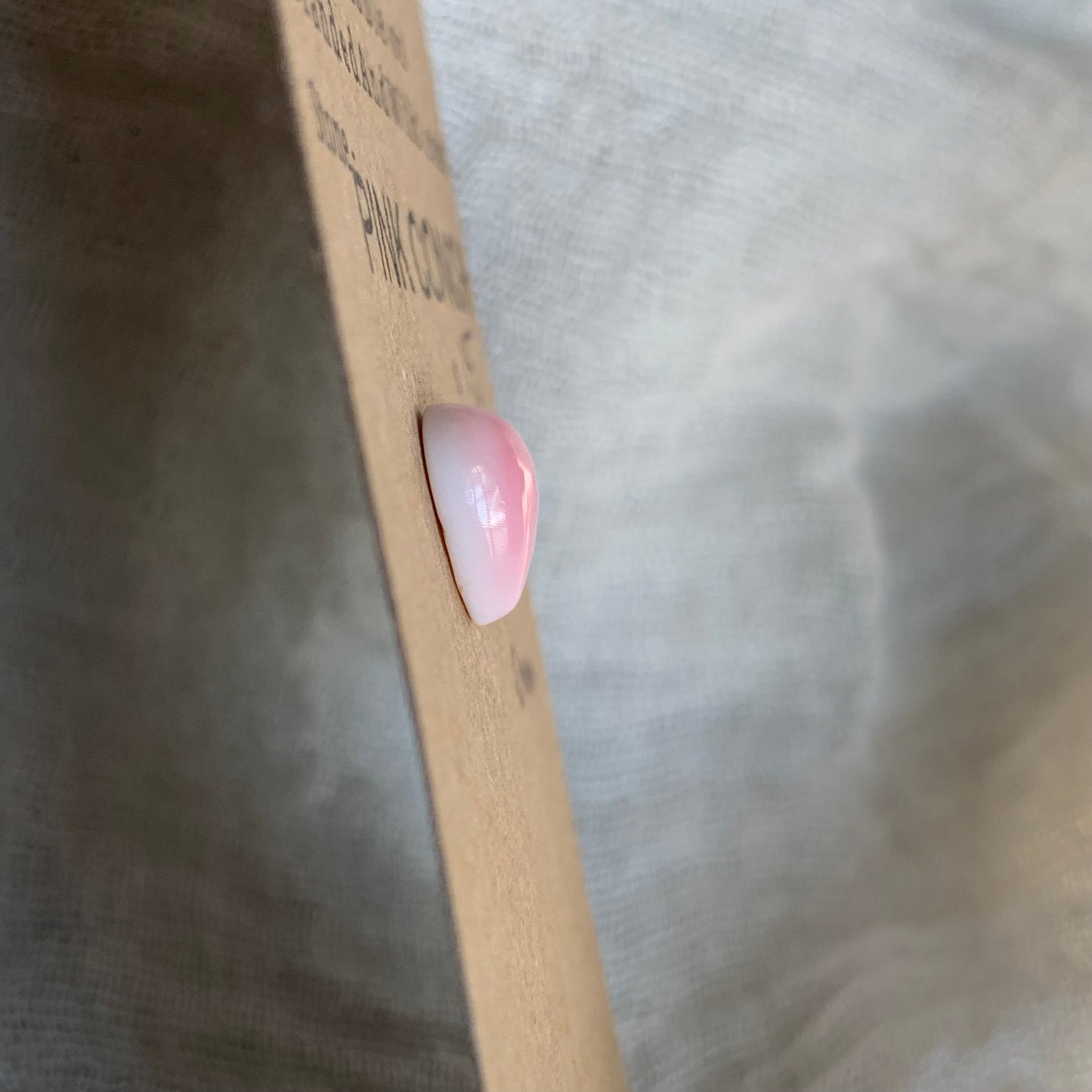 Pink Conch Cabochon - PC35