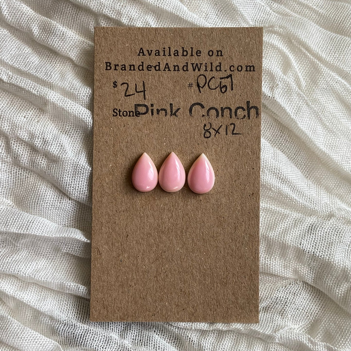 Pink Conch Cabochon - PC67