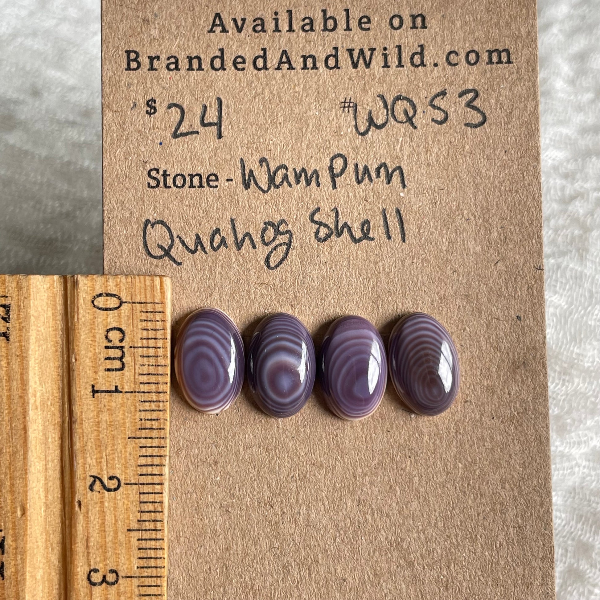 Wampum Quahog Shell Cabochon - WQS3 D291456F-B838-4E72-8735-429E8C98DC6C Brandedandwild.com