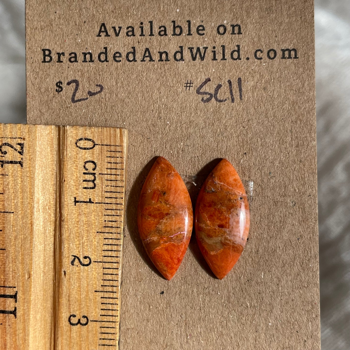 Sponge Coral Cabochon - SC11 D291F036-839F-42AF-B8BB-FE96BD68019C Brandedandwild.com