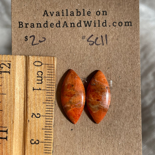 Sponge Coral Cabochon - SC11 D291F036-839F-42AF-B8BB-FE96BD68019C Brandedandwild.com