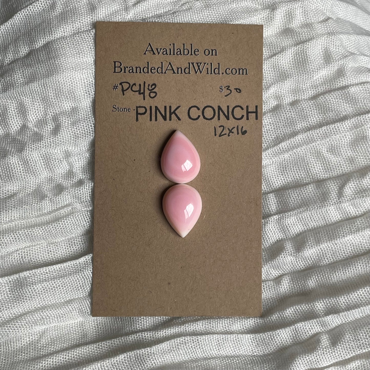 Pink Conch Cabochon - PC48 D29789D2-A09E-43F1-B845-FC9F890E2EDA Brandedandwild.com