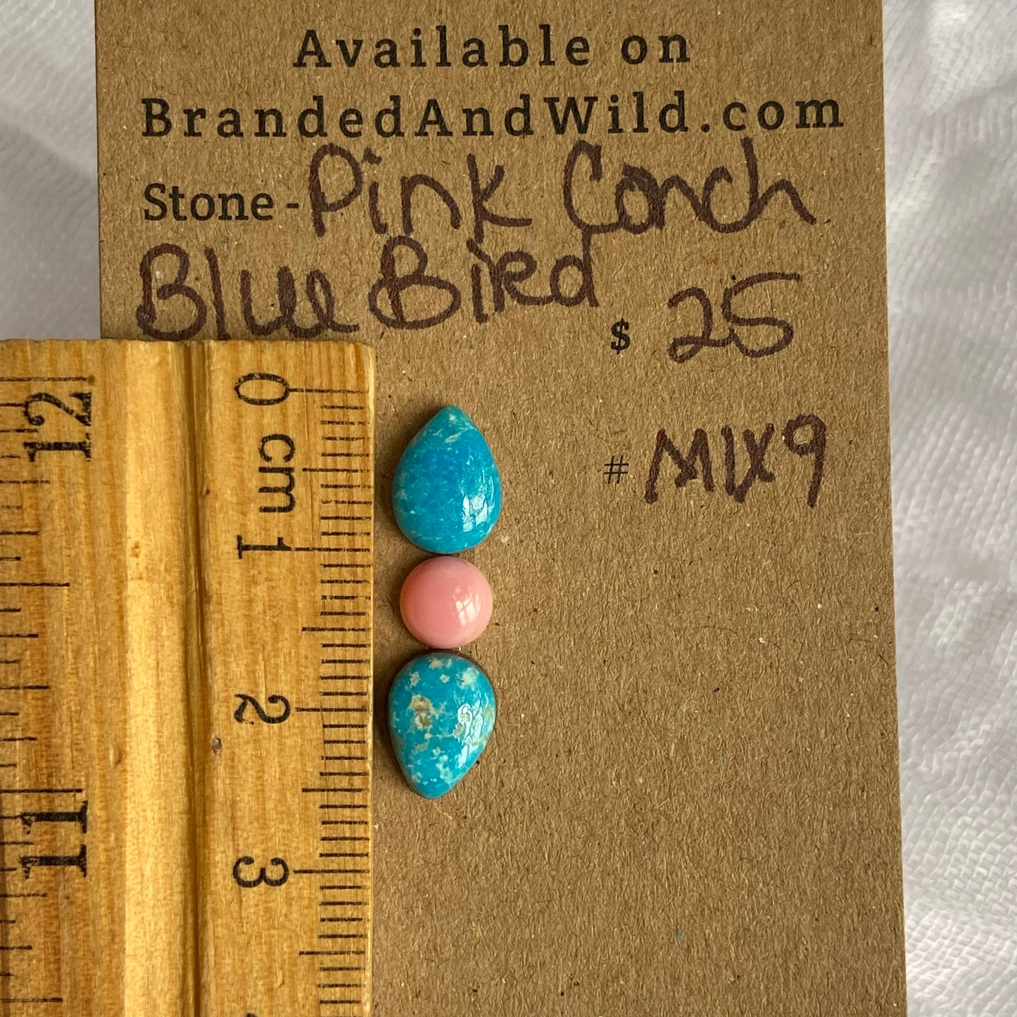 Blue Bird / Pink Conch Cabochon - MIX9