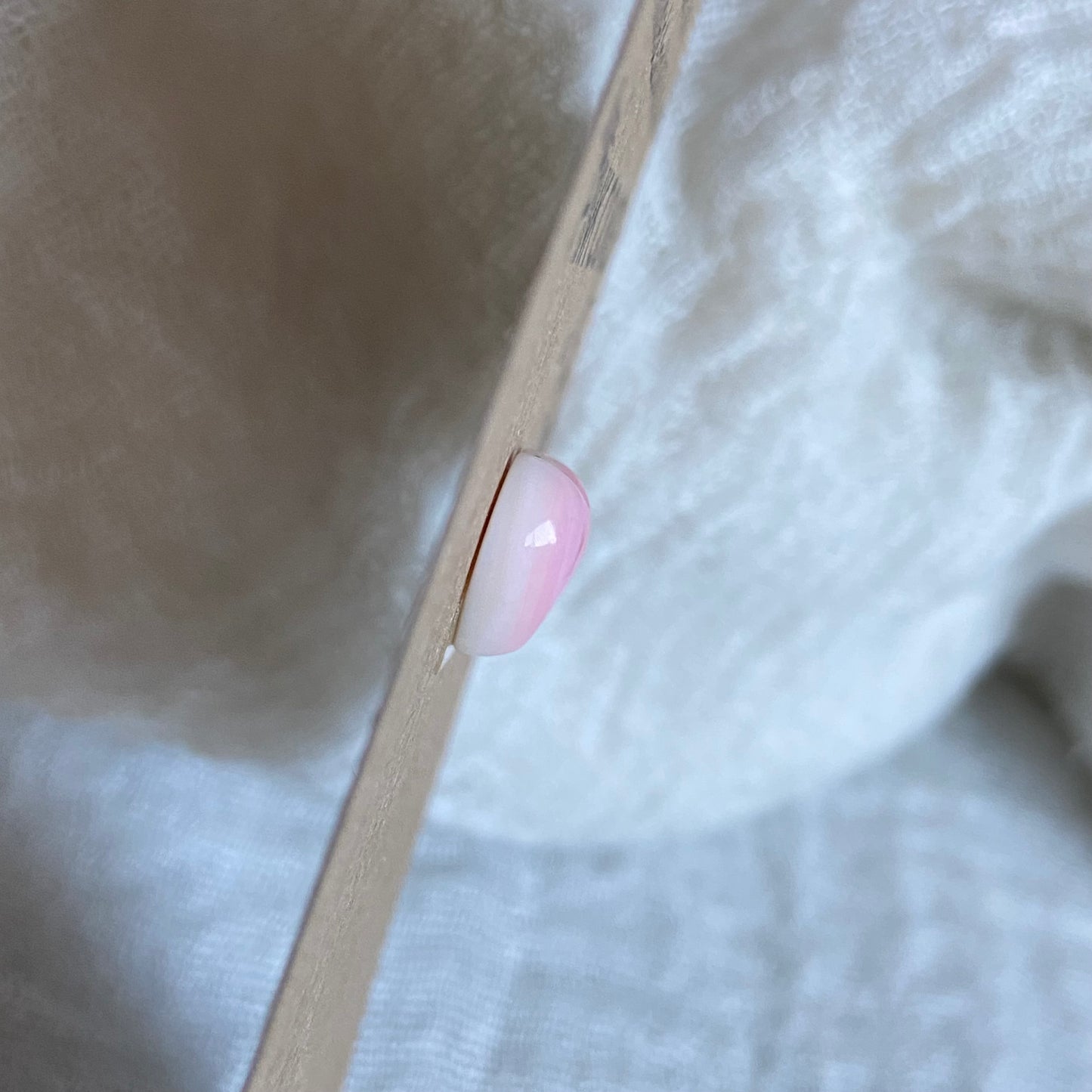 Pink Conch Cabochon - PC44