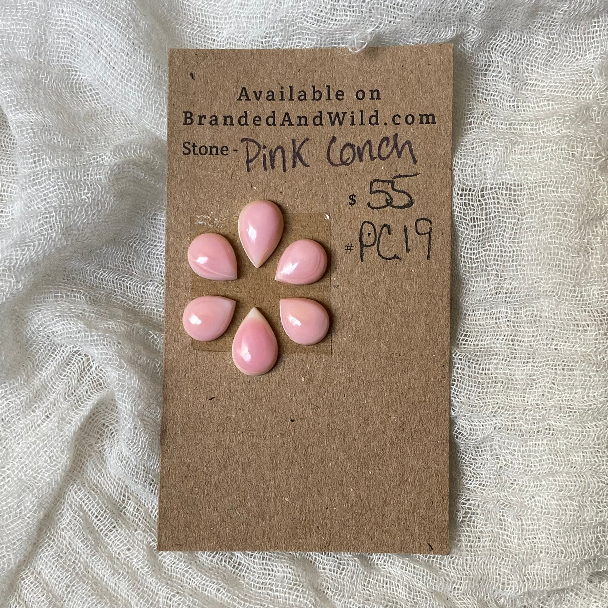 Pink Conch Cabochon - PC19 D2C8F569-B4AB-4D8A-B7B0-F3B9089F7E84 Brandedandwild.com