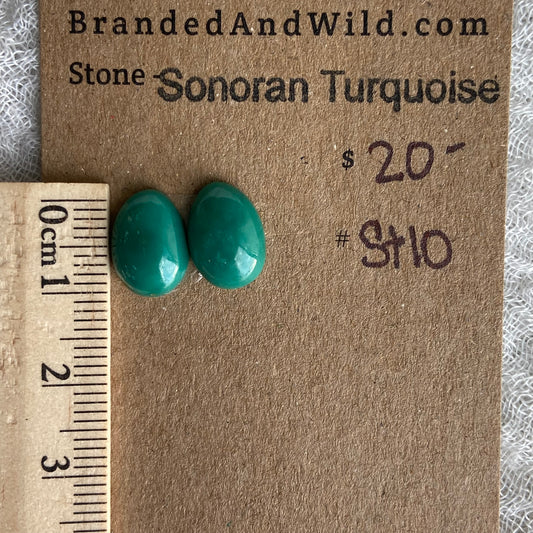 Sonoran Turquoise Cabochon - ST10