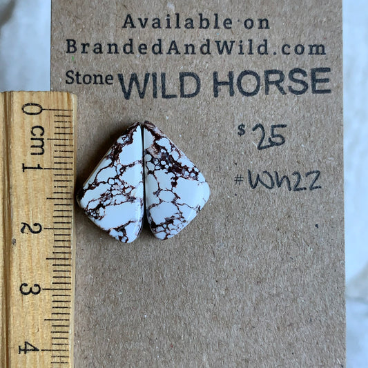 Wild Horse Cabochon - WH22