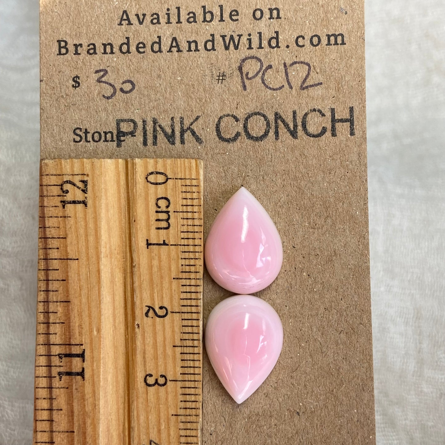 Pink Conch Cabochon - PC12 D2EE08A2-2EB1-4B0E-9F94-82B98E03BA67 Brandedandwild.com