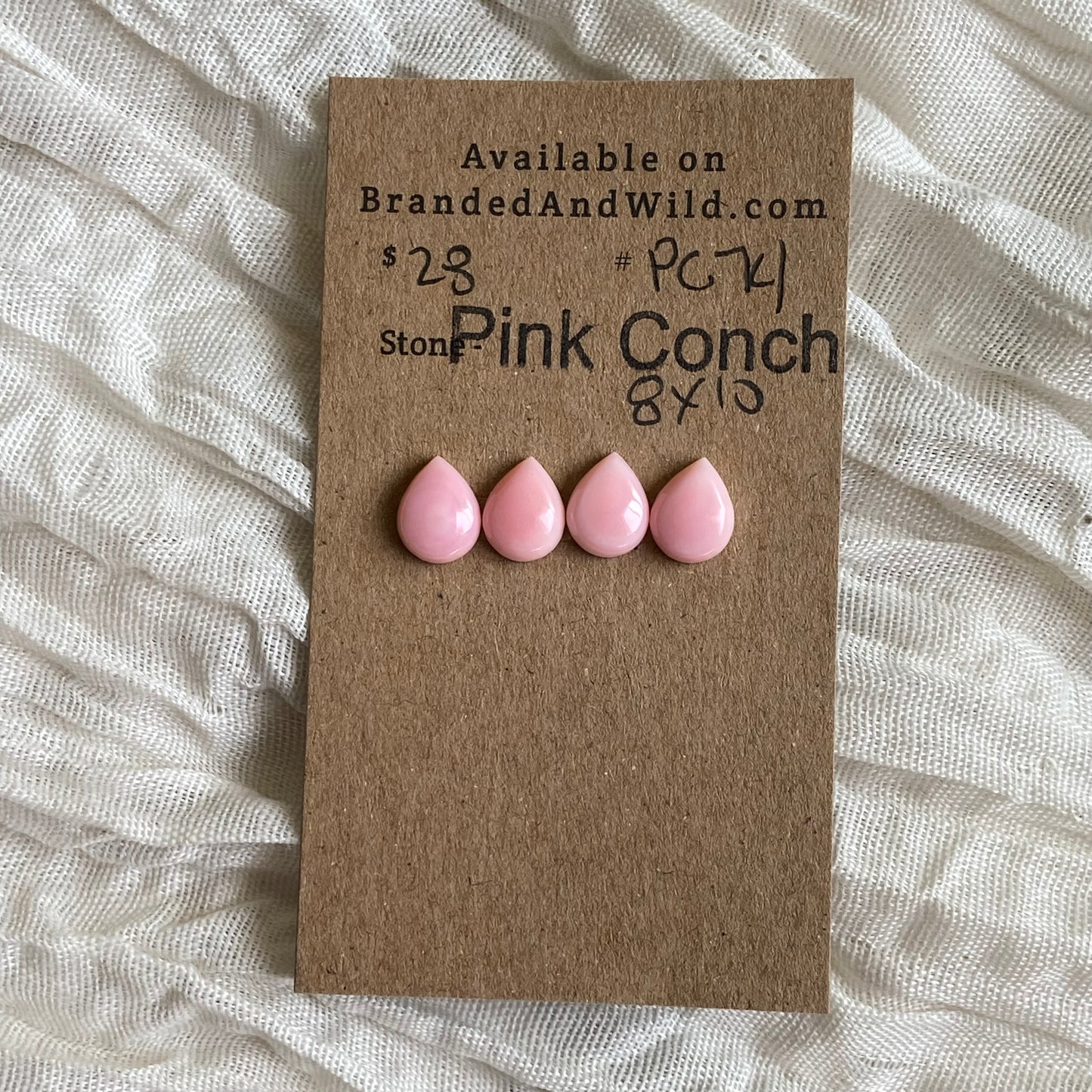 Pink Conch Cabochon - PC74