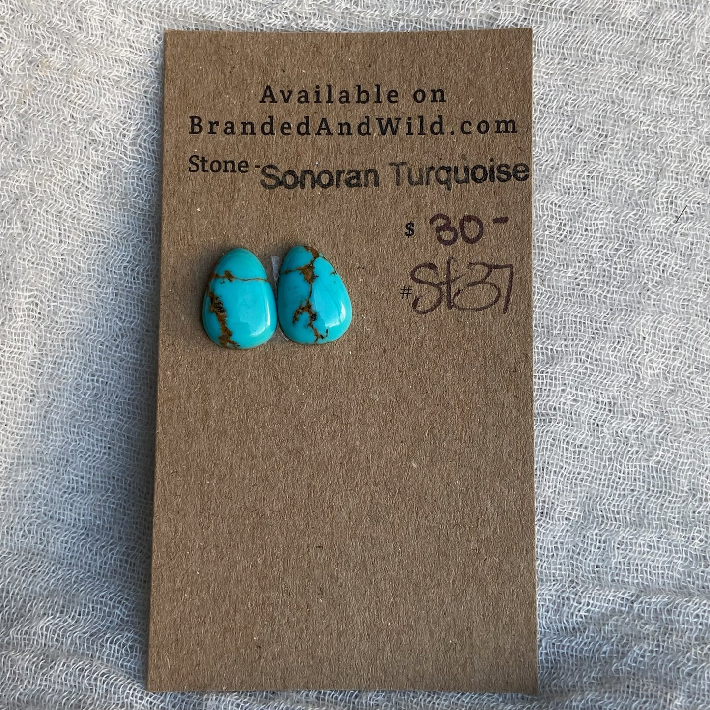 Sonoran Turquoise Cabochon - ST37