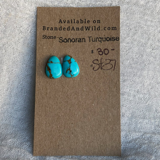 Sonoran Turquoise Cabochon - ST37