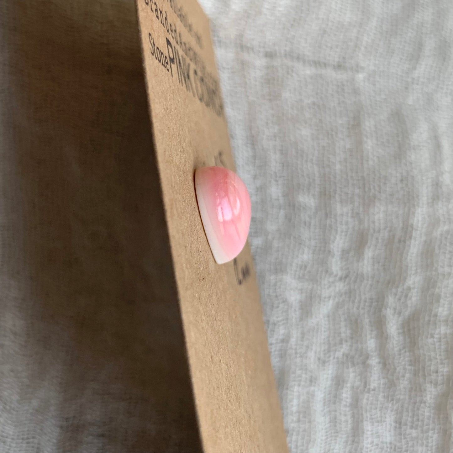 Pink Conch Cabochon - PC08