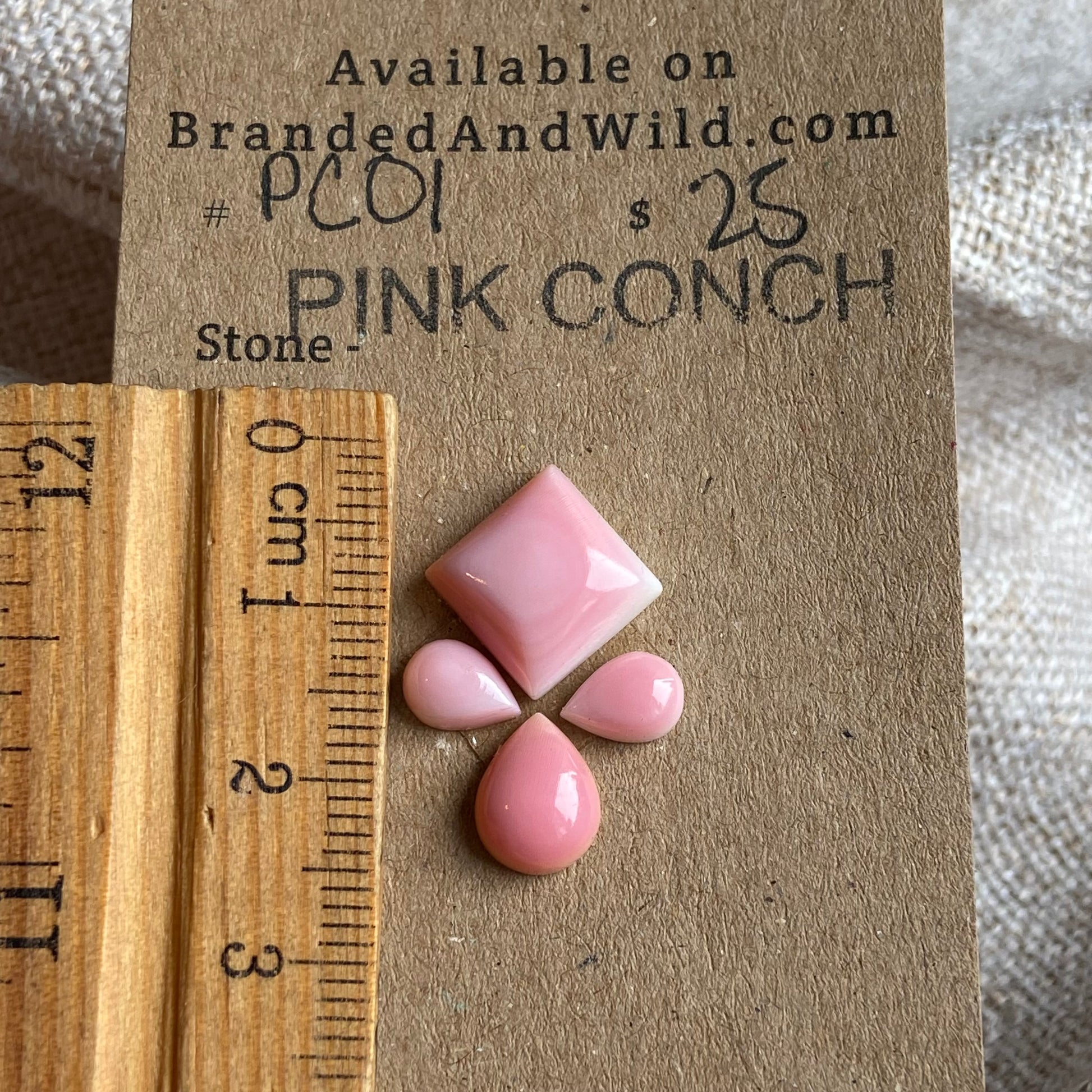 Pink Conch Cabochon - PC01 D34E4188-30E6-40BD-9CEF-733E30F7056D Brandedandwild.com