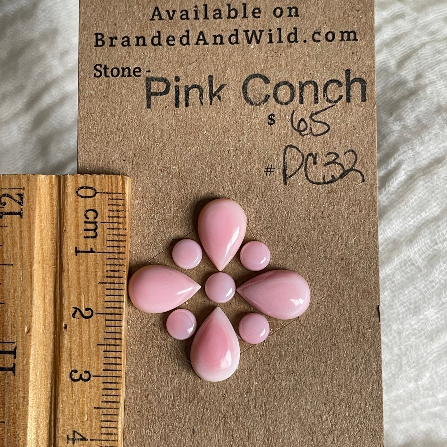 Pink Conch Cabochon - PC32