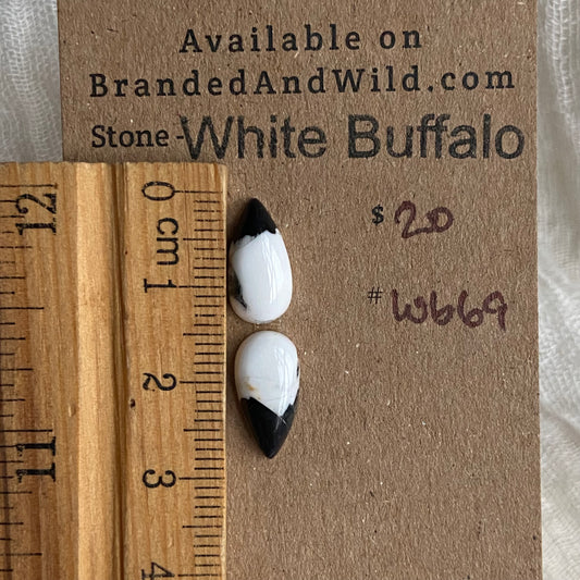 White Buffalo Cabochon - WB69