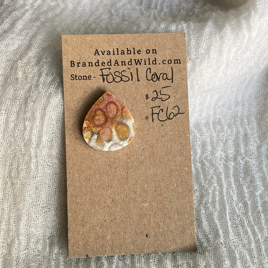 Fossil Coral Cabochon - FC62