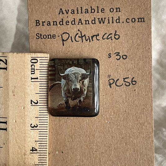 Picture Cabochon - Cabochon - PC56 D3C55BC8-51EC-48F5-8D01-94517CF8A91E Brandedandwild.com
