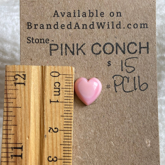 Pink Conch Cabochon - PC16
