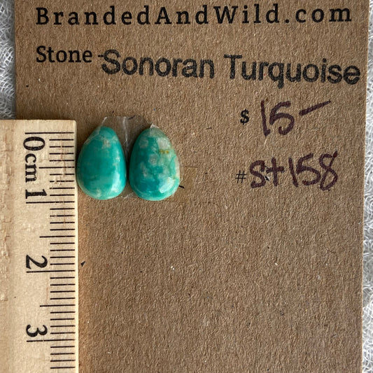Sonoran Turquoise Cabochon - ST158