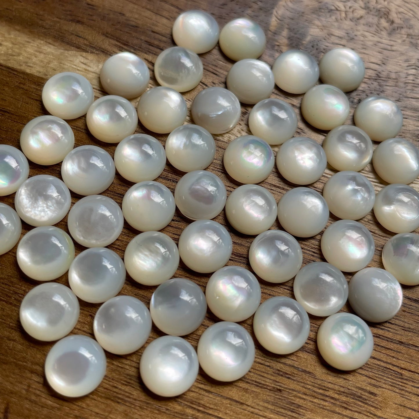 Mother of pearl - 10mm MP01 D414D982-AA37-48BC-B635-8B594C111466 Brandedandwild.com