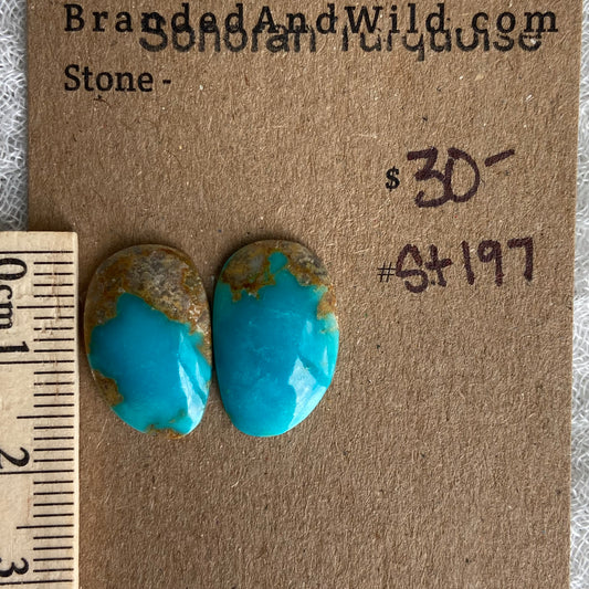 Sonoran Turquoise Cabochon - ST197