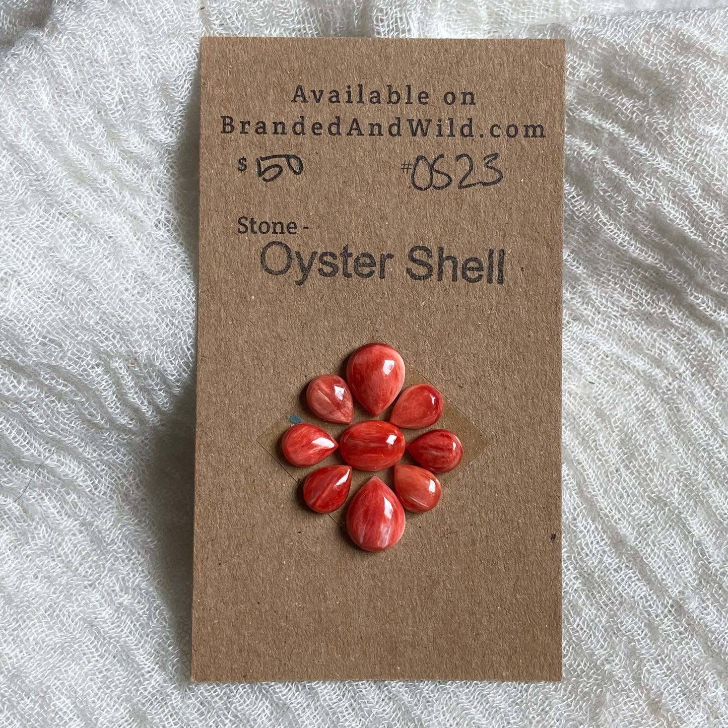 Oyster Shell Cabochon - OS23
