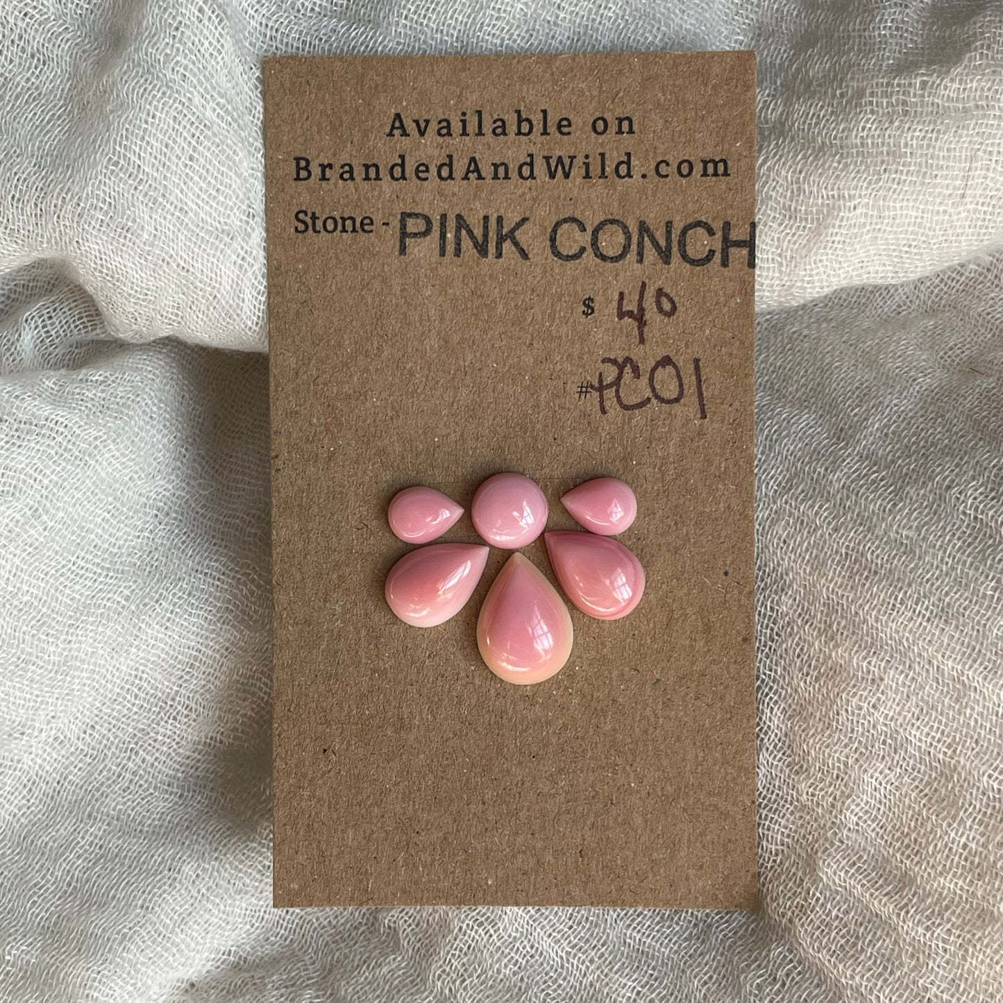 Pink Conch Cabochon - PC01