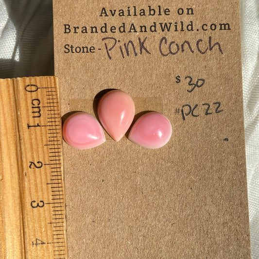 Pink Conch Cabochon - PC22 D45A179E-8B96-4636-8724-D5B54BA8C5A3 Brandedandwild.com