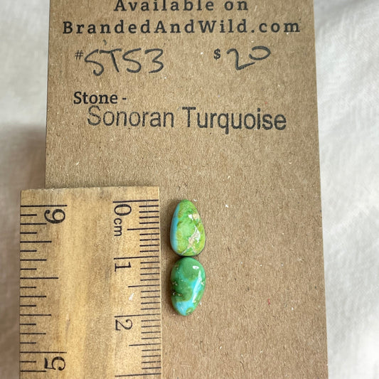 Sonoran Turquoise Cabochon - ST53 D4716D14-3B4D-41F0-9622-5F5F3C271CD4 Brandedandwild.com