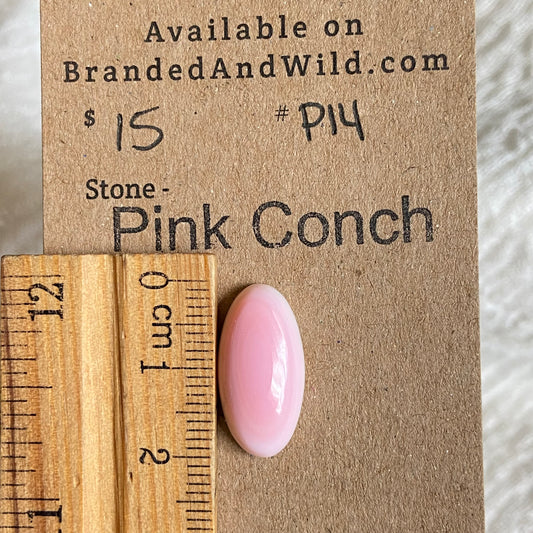 Pink Conch Cabochon - P14 D4869176-B418-40B1-A433-0F1BAF151466 Brandedandwild.com