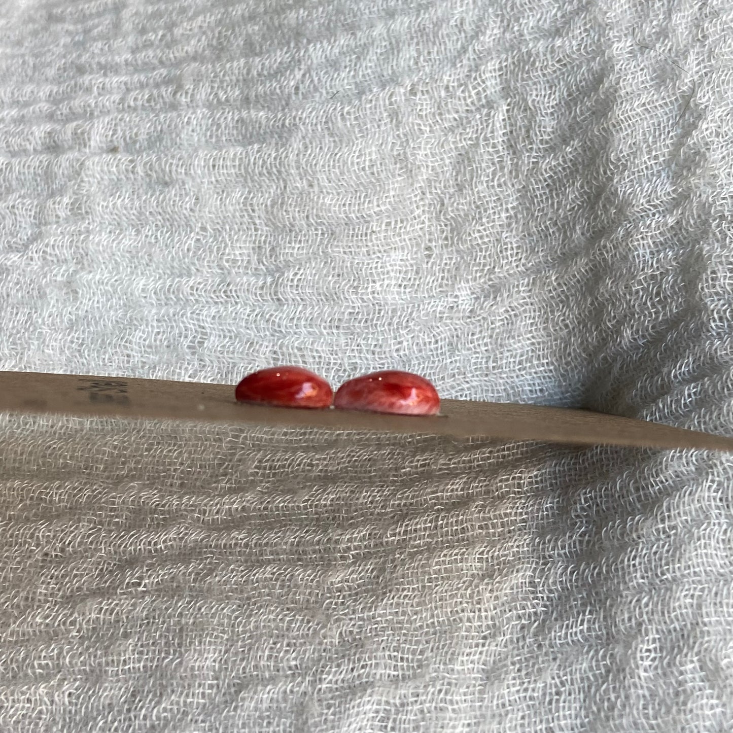 Oyster Shell Cabochon - OS91
