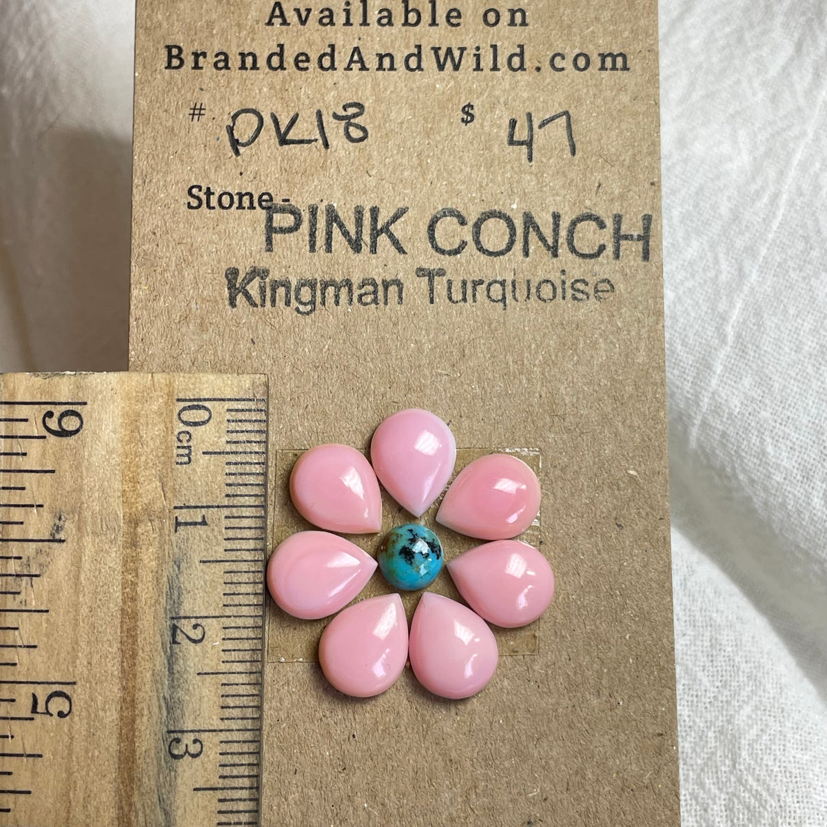 Pink Conch / Kingman Turquoise Cabochon - PK18