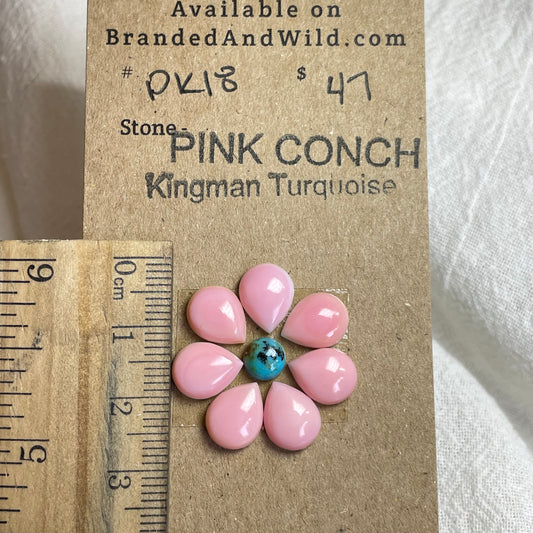 Pink Conch / Kingman Turquoise Cabochon - PK18 D4A81A1E-D51C-49A1-BD6B-A24699BDA5BF Brandedandwild.com