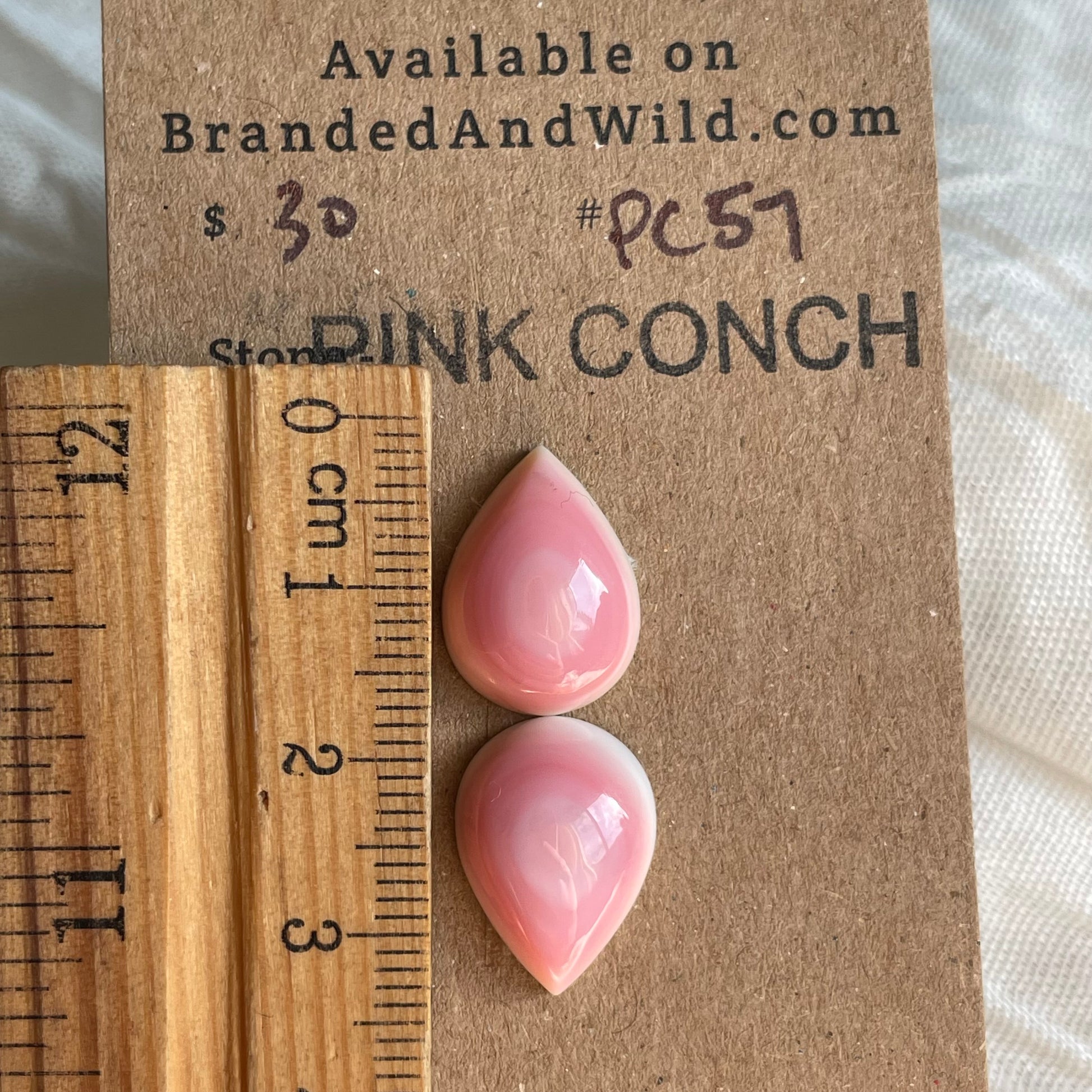Pink Conch Cabochon - PC57 D4AC9147-3118-4744-8549-403E69887E7A Brandedandwild.com