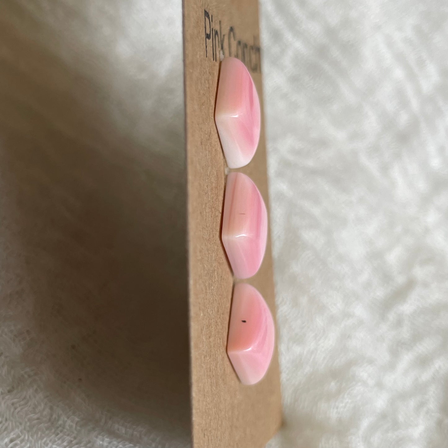 Pink Conch Cabochon - PC10