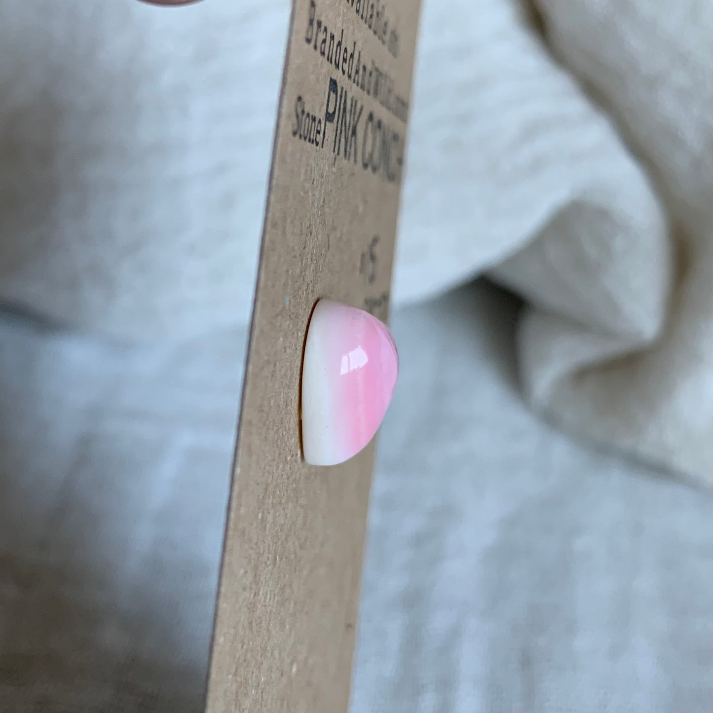 Pink Conch Cabochon - PC79