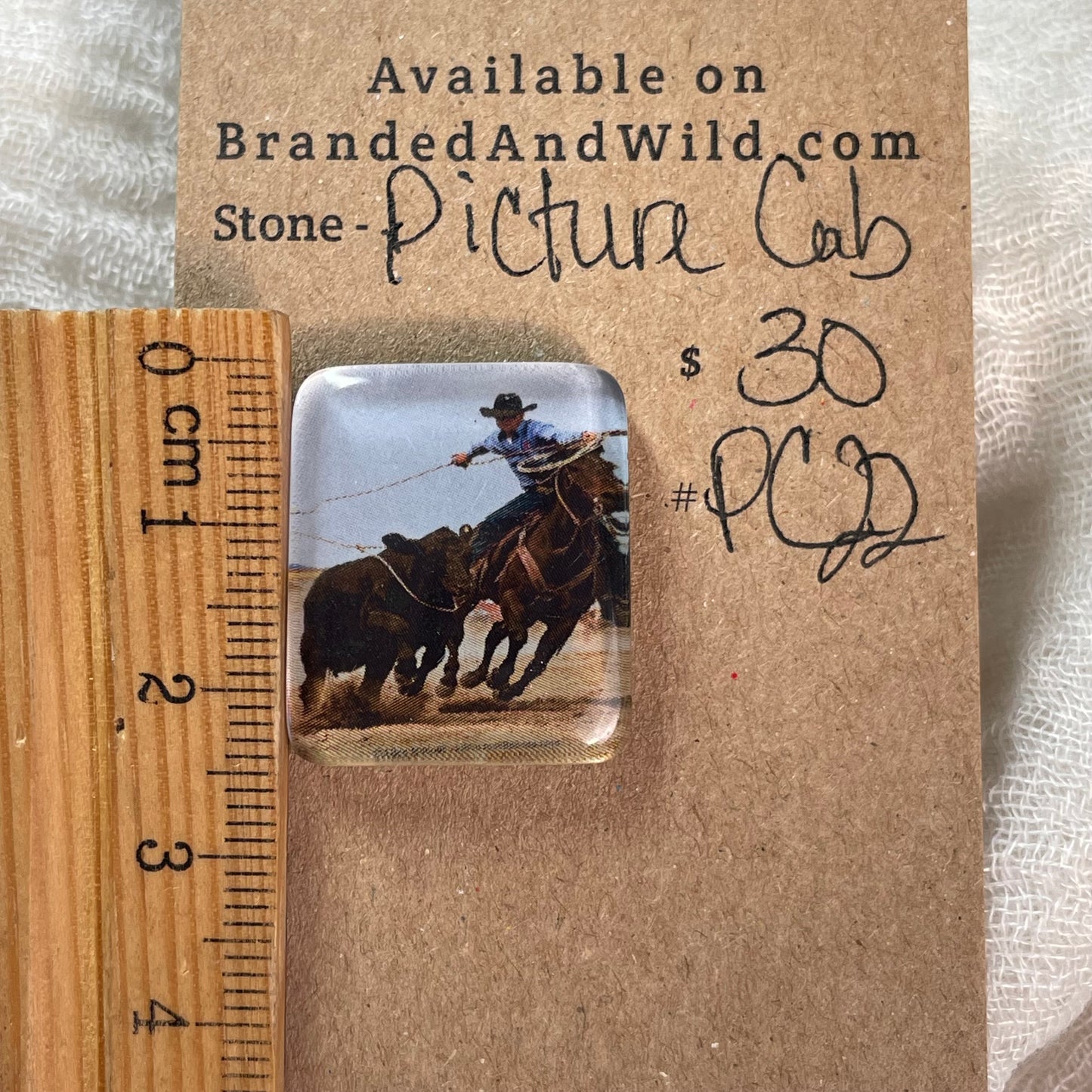 Picture Cabochon - Cabochon - PC22 D52DA342-41BF-4973-B776-2C5DA0DDAADB Brandedandwild.com