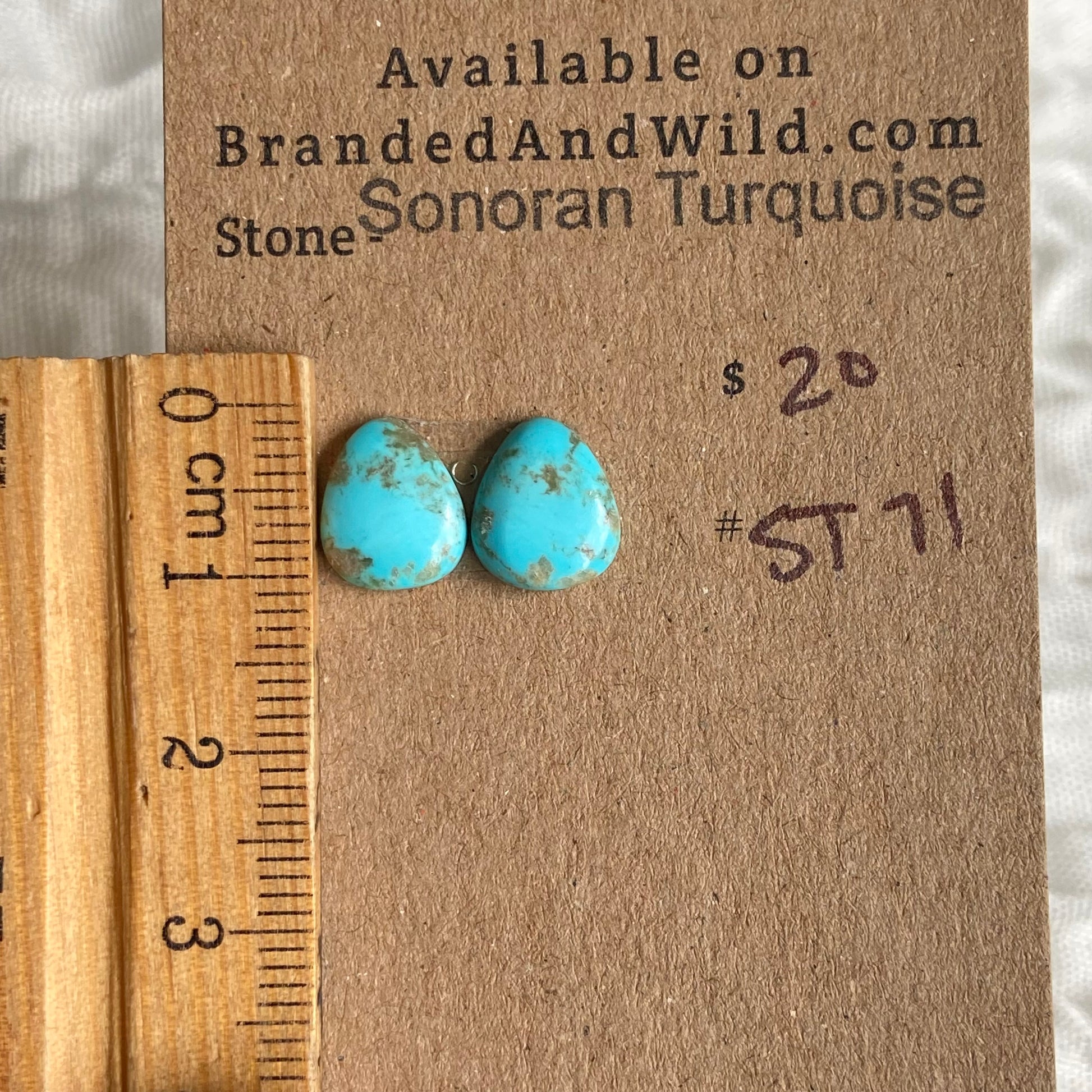 Sonoran Turquoise Cabochon - ST71 D5422F05-A6D6-44BC-84DB-17FC17851941 Brandedandwild.com