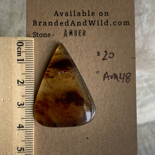 Amber Cabochon AM48