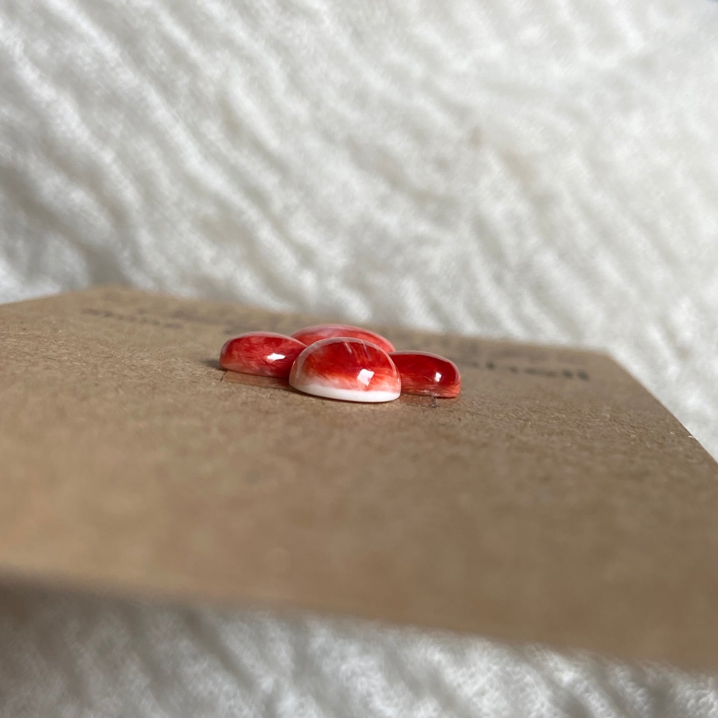 Oyster Shell Cabochon - OS60
