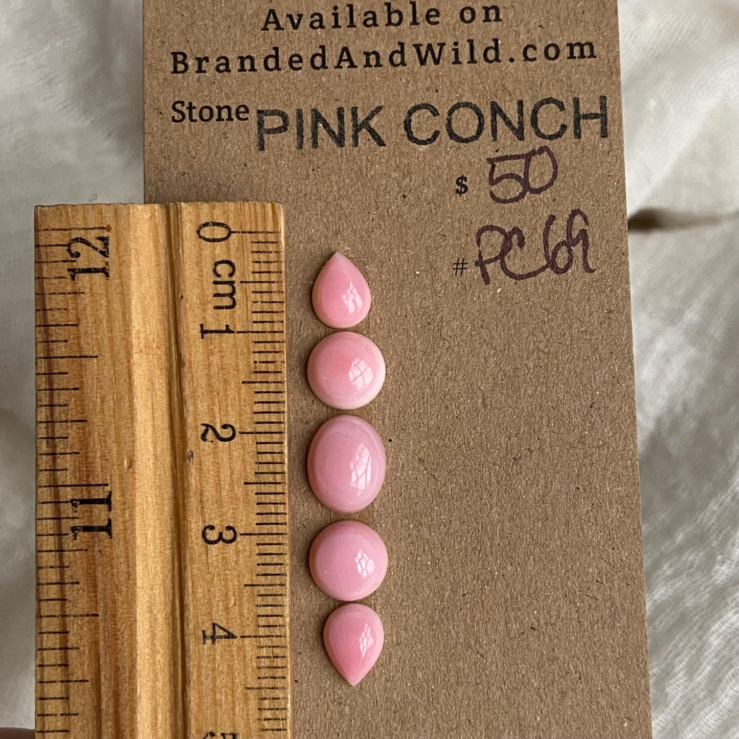 Pink Conch Cabochon - PC69