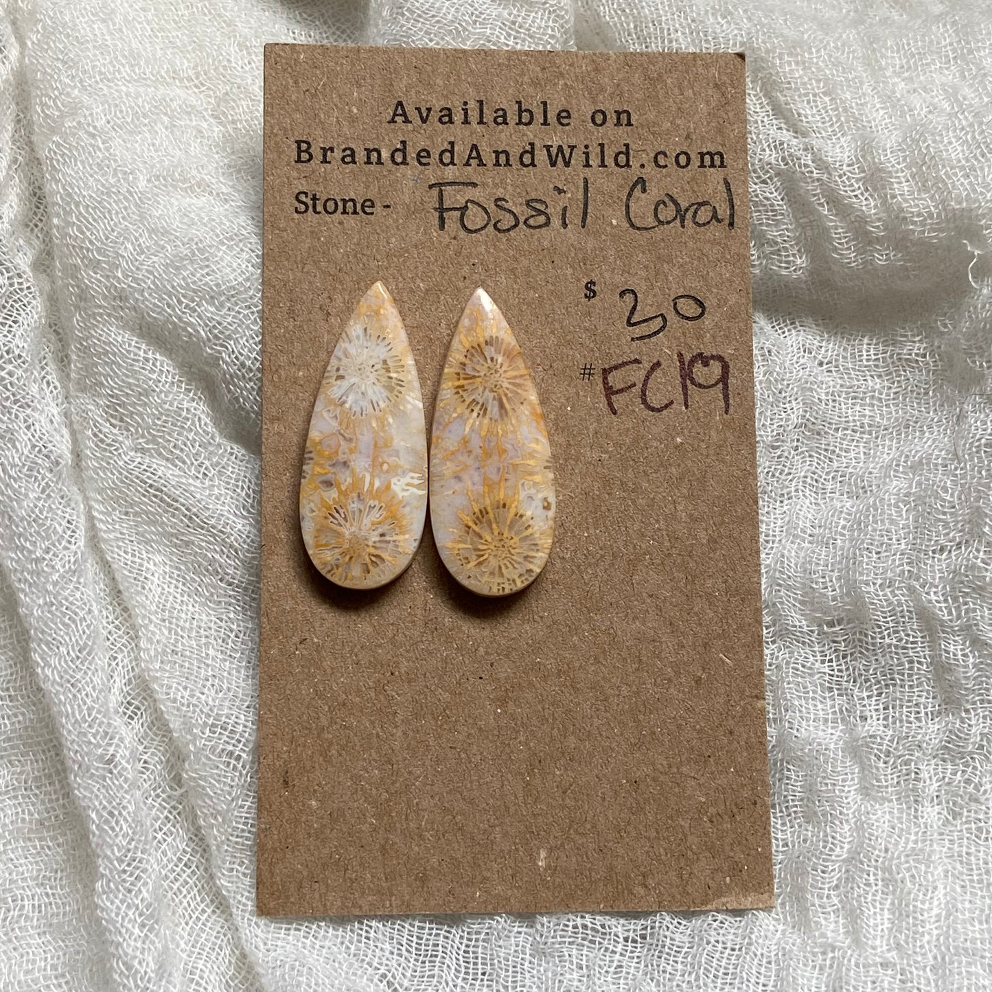 Fossil Coral Cabochon - FC19
