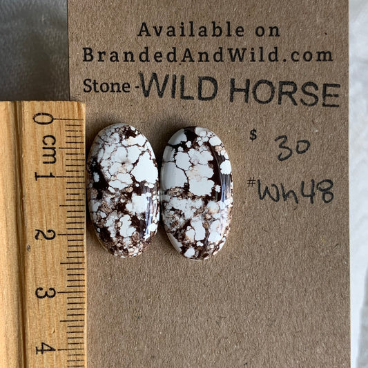 Wild Horse Cabochon - WH48